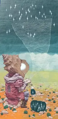 Star Catcher