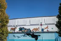 Stampede