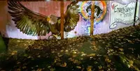Untitled mural