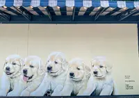 Untitled mural